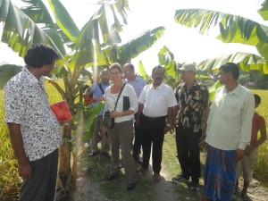 Tolli Love-CARE USA, Regional Coordinator-CARE Rangpur visiting community based banana cultivation under JSKS SHOUHARDO II PROGRAM